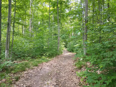 N Sunshine Trail, Vanderbilt, MI 49795 photo 7