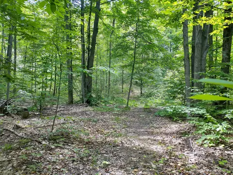 N Sunshine Trail, Vanderbilt, MI 49795 photo 14