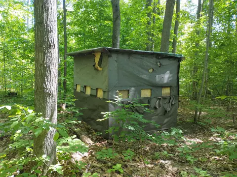N Sunshine Trail, Vanderbilt, MI 49795 photo 9