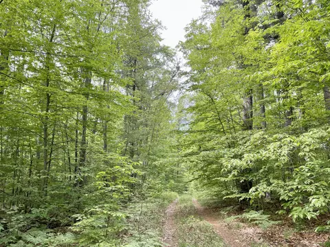 10 Ac Andergood Rd, Lewiston, MI 49756