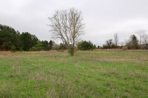 M-88, Mancelona, MI 49659