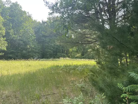 6872 Wolverine Road Wolverine Mi 49799 Rd, Wolverine, MI 49799