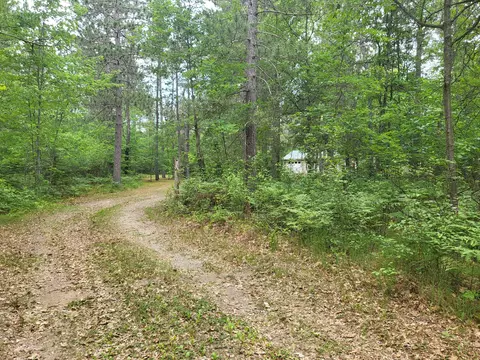 8652 Lovells Rd, Grayling, MI 49738 photo 67