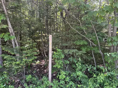 8190 Cordwood Trl, Cheboygan, MI 49721