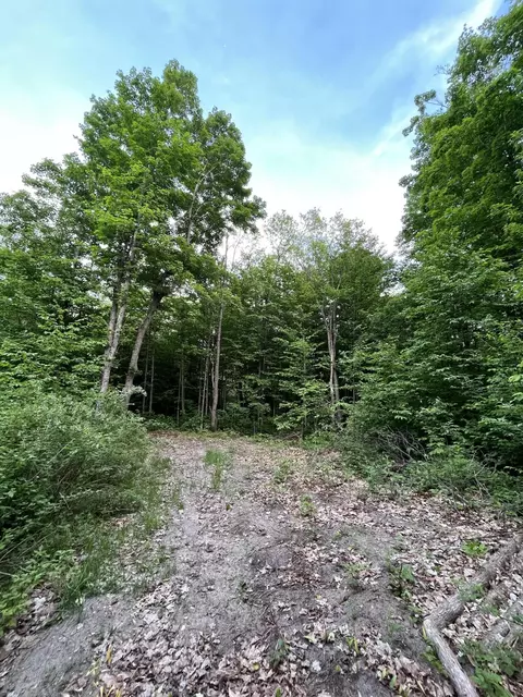 Lewis Road, Vanderbilt, MI 49795 photo 4