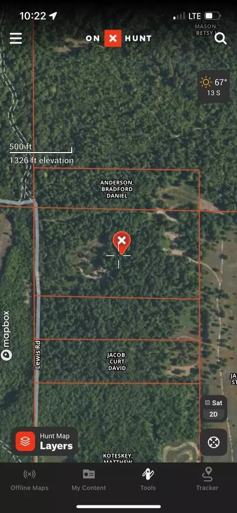 Lewis Road, Vanderbilt, MI 49795 photo 12