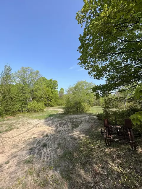 Lewis Road, Vanderbilt, MI 49795 photo 14