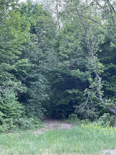 Lewis Road, Vanderbilt, MI 49795 photo 7