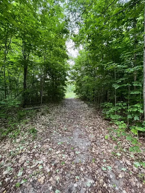 Lewis Road, Vanderbilt, MI 49795