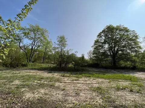 Lewis Road, Vanderbilt, MI 49795 photo 10