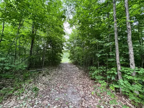 Lewis Road, Vanderbilt, MI 49795 photo 5