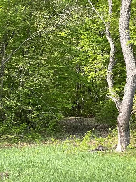Lewis Road, Vanderbilt, MI 49795 photo 15