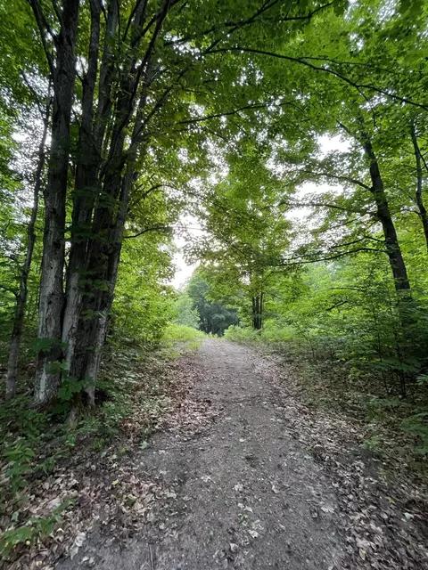 Lewis Road, Vanderbilt, MI 49795 photo 3