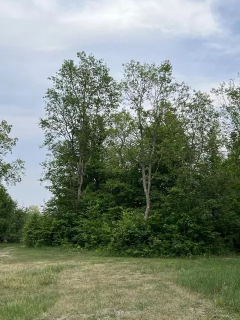 Lewis Road, Vanderbilt, MI 49795 photo 9