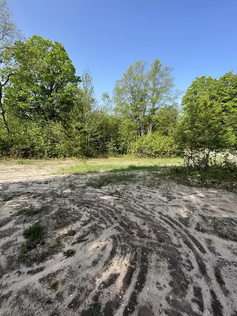 Lewis Road, Vanderbilt, MI 49795 photo 13