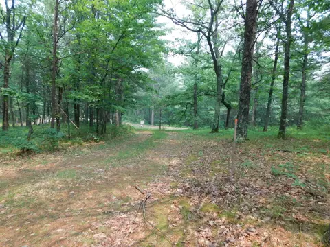 2938 Sandy Trl, Grayling, MI 49738 photo 31