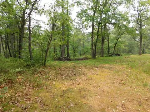 2938 Sandy Trl, Grayling, MI 49738 photo 35