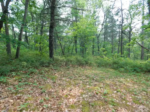 2938 Sandy Trl, Grayling, MI 49738 photo 32