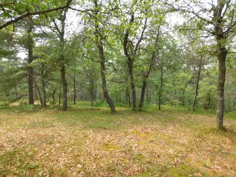 2938 Sandy Trl, Grayling, MI 49738 photo 24
