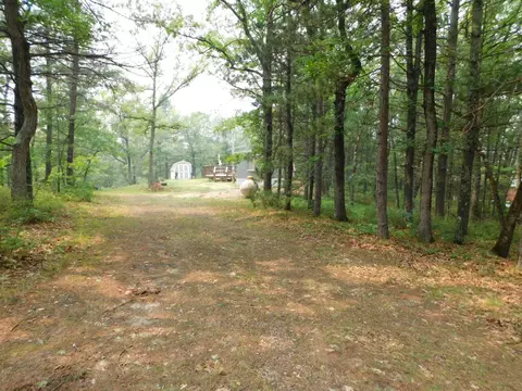 2938 Sandy Trl, Grayling, MI 49738 photo 33