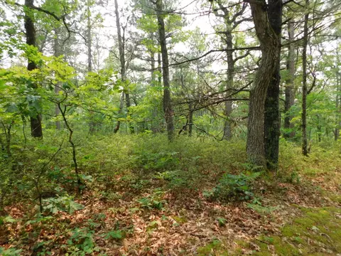 2938 Sandy Trl, Grayling, MI 49738 photo 34