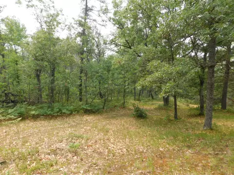 2938 Sandy Trl, Grayling, MI 49738 photo 23