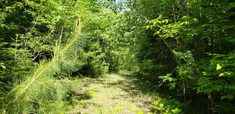 55 North Black River Road #55 ACRES, Cheboygan, MI 49721