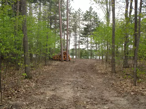 4784 Michakewa Trail Cheboygan Mi 49721 Trl, Cheboygan, MI 49721