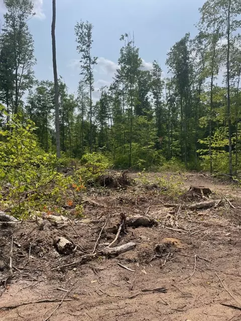Isabell Trail, Wolverine, MI 49799