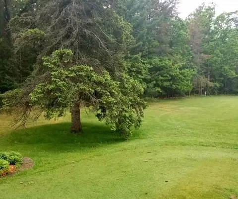 Nestel Road, Prudenville, MI 48651