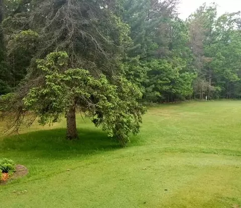 19 White Deer Trail #LOT 19, Prudenville, MI 48651