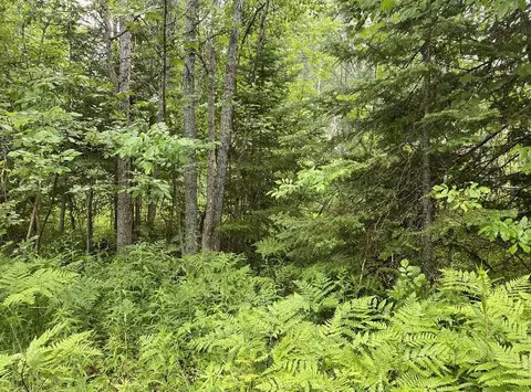 1718 Schmidt Dr, Alpena, MI 49707
