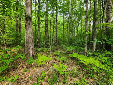 lot25 26 Newell Topinabee Mi 49791, Topinabee, MI 49791