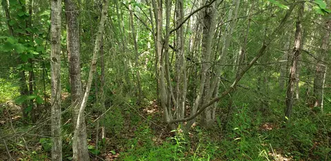 Little Canada Road, Cheboygan, MI 49721