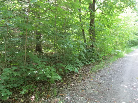 Coyote Trail, Frederic, MI 49733 photo 15