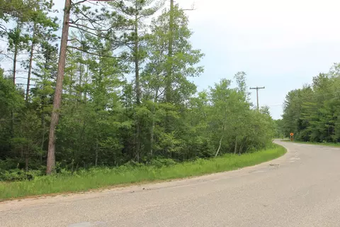 Evergreen Drive, Grayling, MI 49738 photo 3