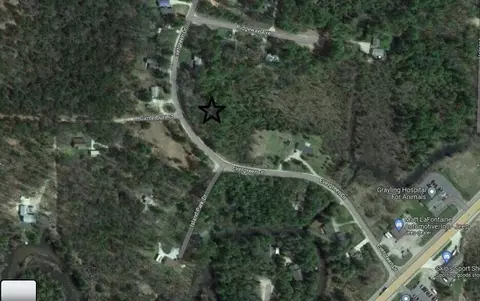 Evergreen Drive, Grayling, MI 49738 photo 2