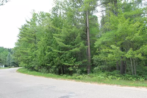 Evergreen Drive, Grayling, MI 49738