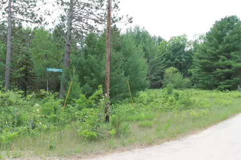 Evergreen Drive, Grayling, MI 49738 photo 10