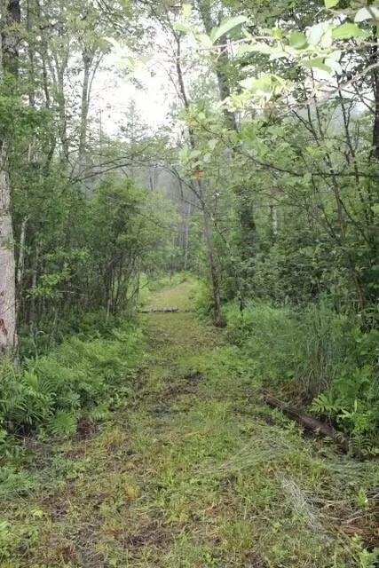 11523 Stephan Bridge Road Roscommon Mi 48653 Rd, Roscommon, MI 48653 photo 19