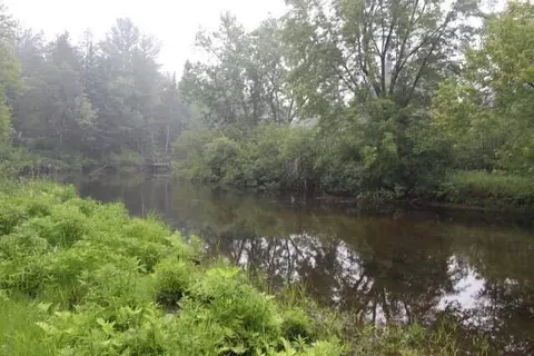 11523 Stephan Bridge Road Roscommon Mi 48653 Rd, Roscommon, MI 48653 photo 3