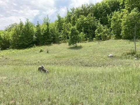 Hillview Trail, Elmira, MI 49730