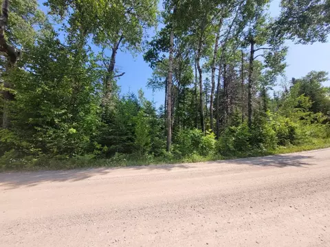 Raven Drive, Ocqueoc, MI 49759 photo 9