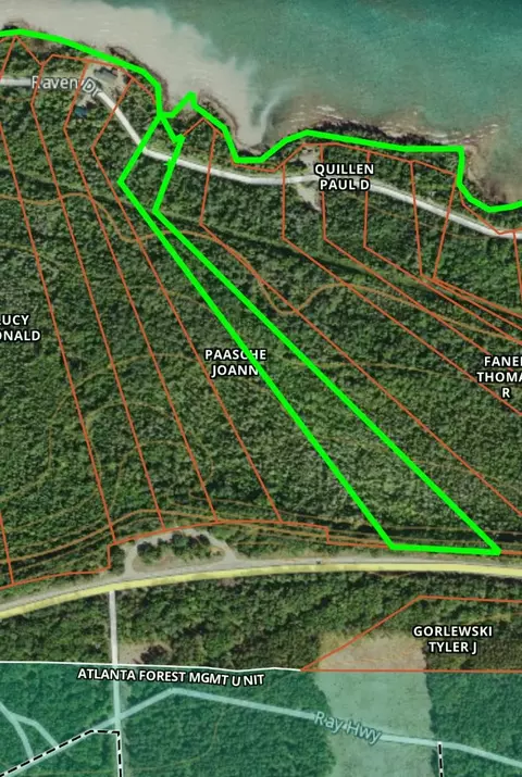 Raven Drive, Ocqueoc, MI 49759 photo 4