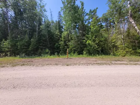 Raven Drive, Ocqueoc, MI 49759 photo 8