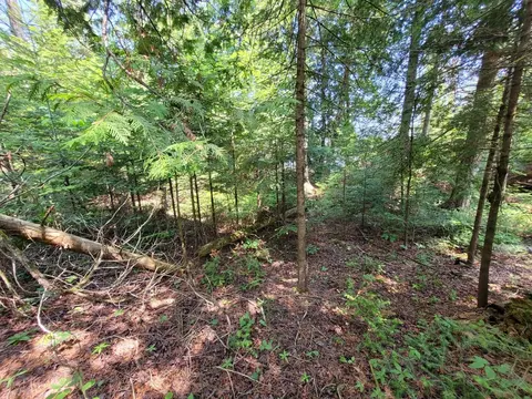 Raven Drive, Ocqueoc, MI 49759 photo 18