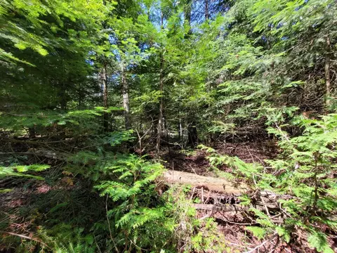 Raven Drive, Ocqueoc, MI 49759 photo 11
