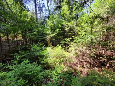 Raven Drive, Ocqueoc, MI 49759 photo 12