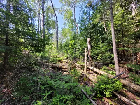 Raven Drive, Ocqueoc, MI 49759 photo 10