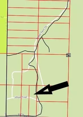 Parma Road, Grayling, MI 49738 photo 2